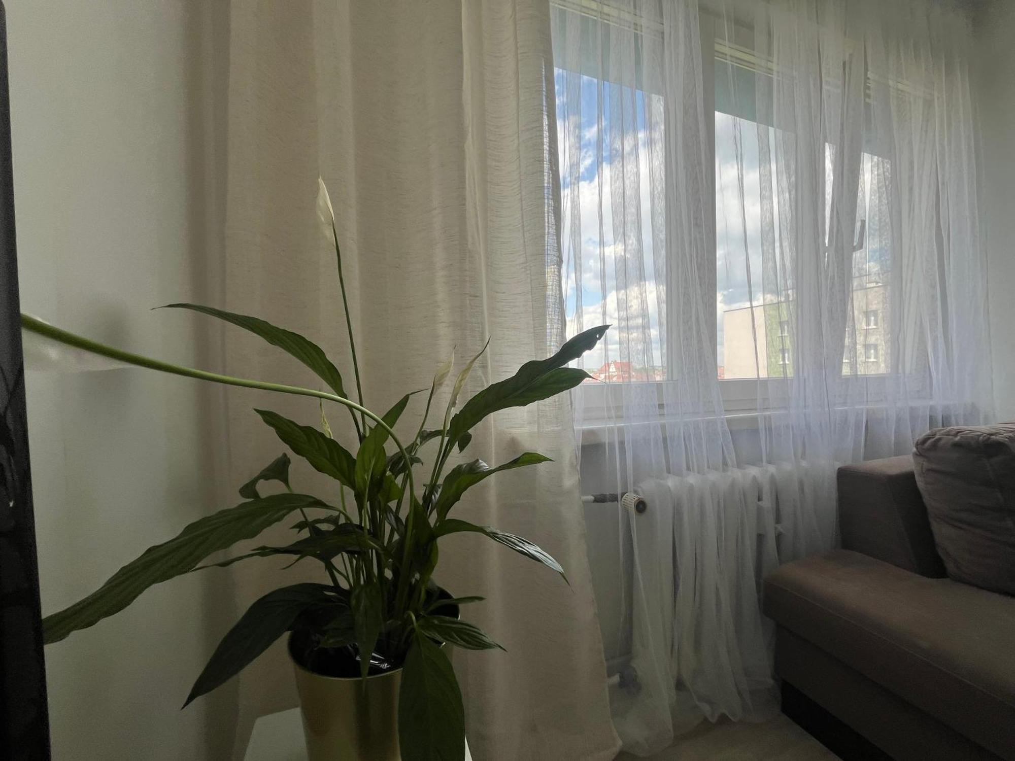 Sunny View Apartament Bytom Exterior foto